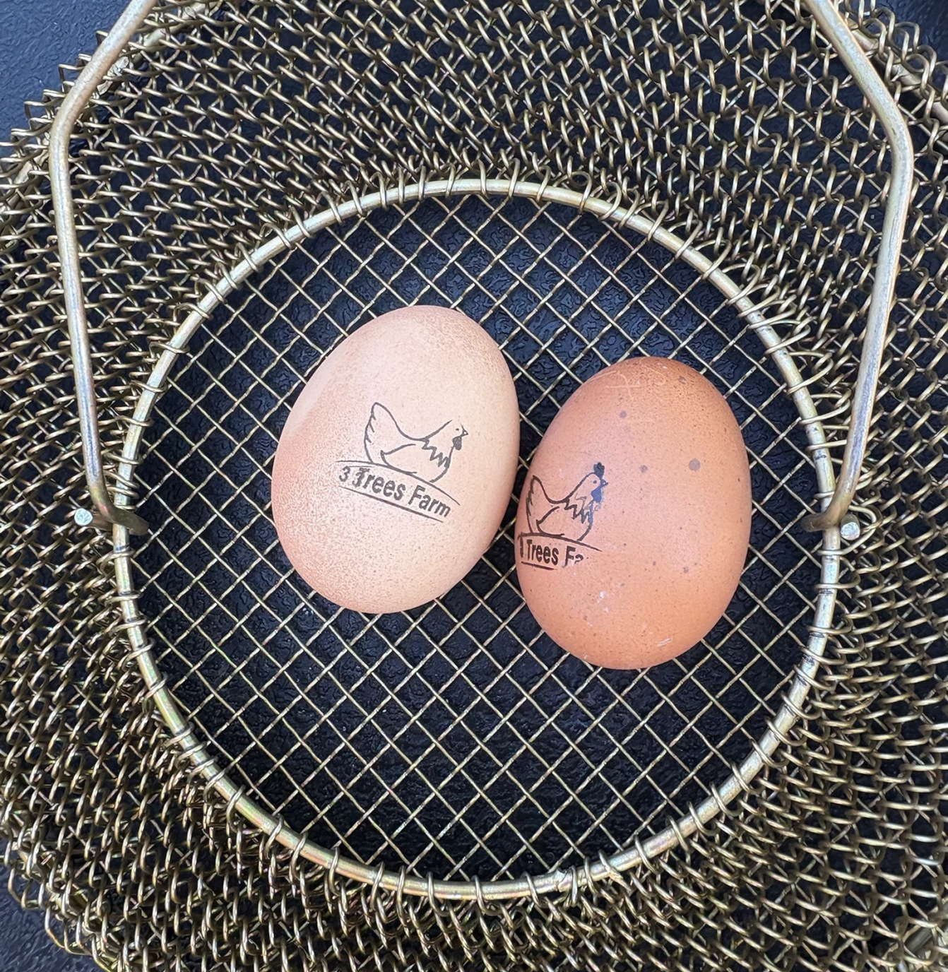 chickens eggs farm basket